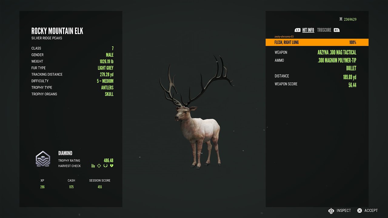 DIAMOND and RARE highlights #91 The Hunter: Call of the wild