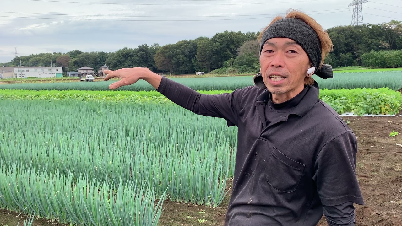 ネギ畝間　除草剤散布　ガードマン