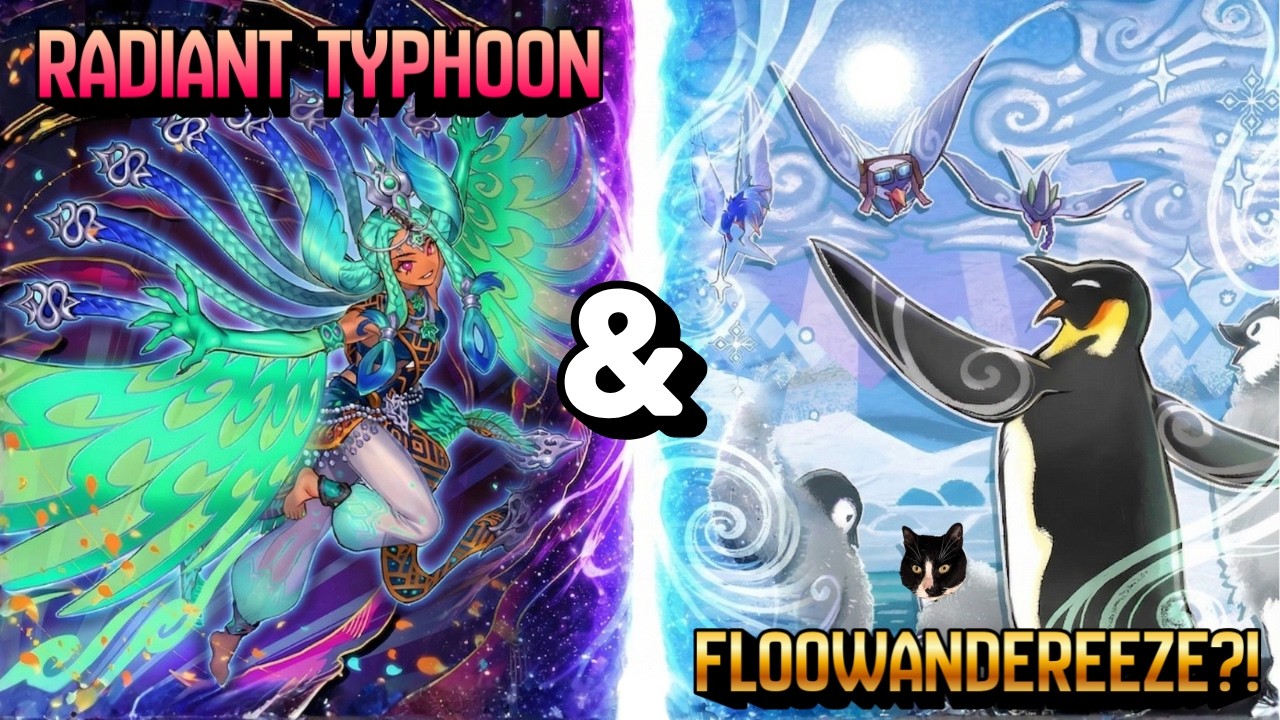 Floowandereeze Deck Profile 2026