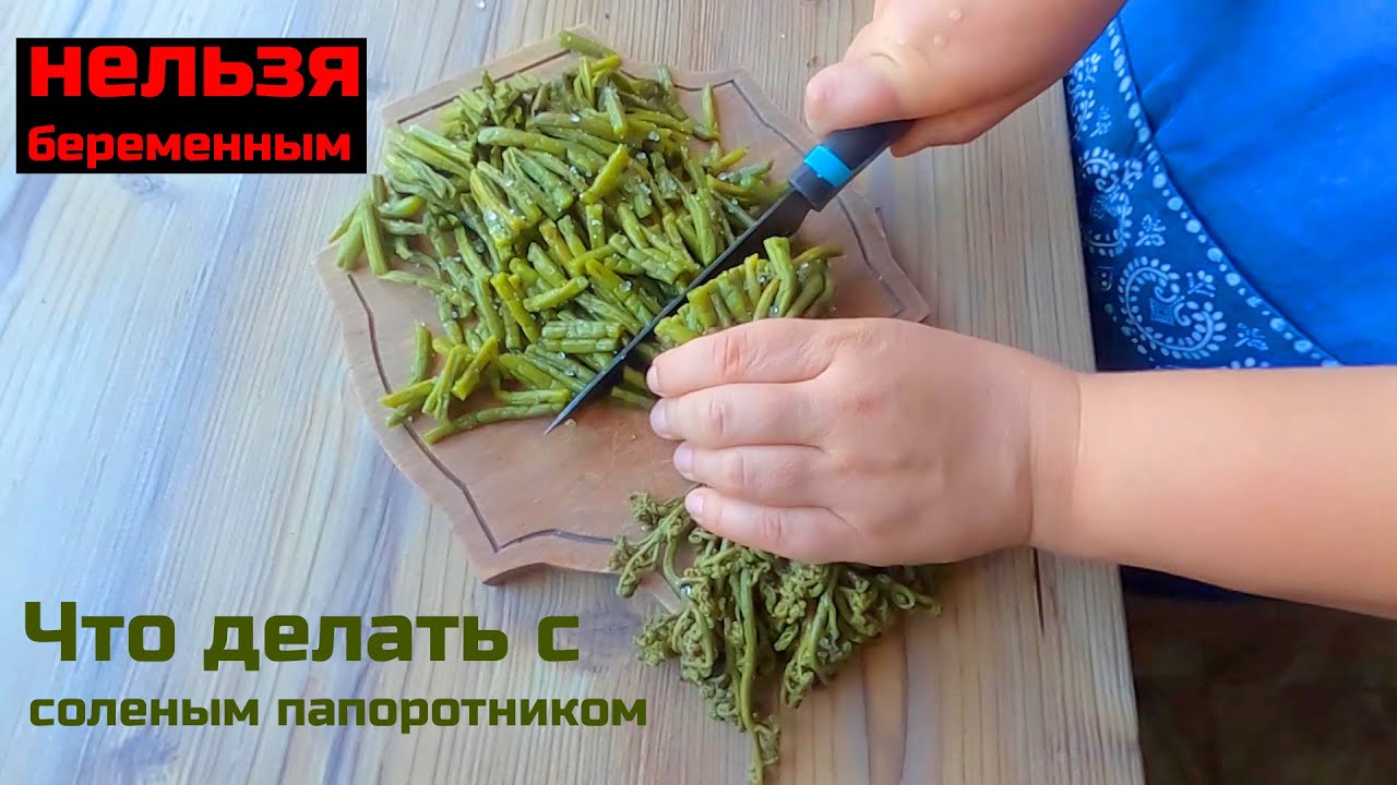 Как приготовить соленый папоротник? Постные блюда