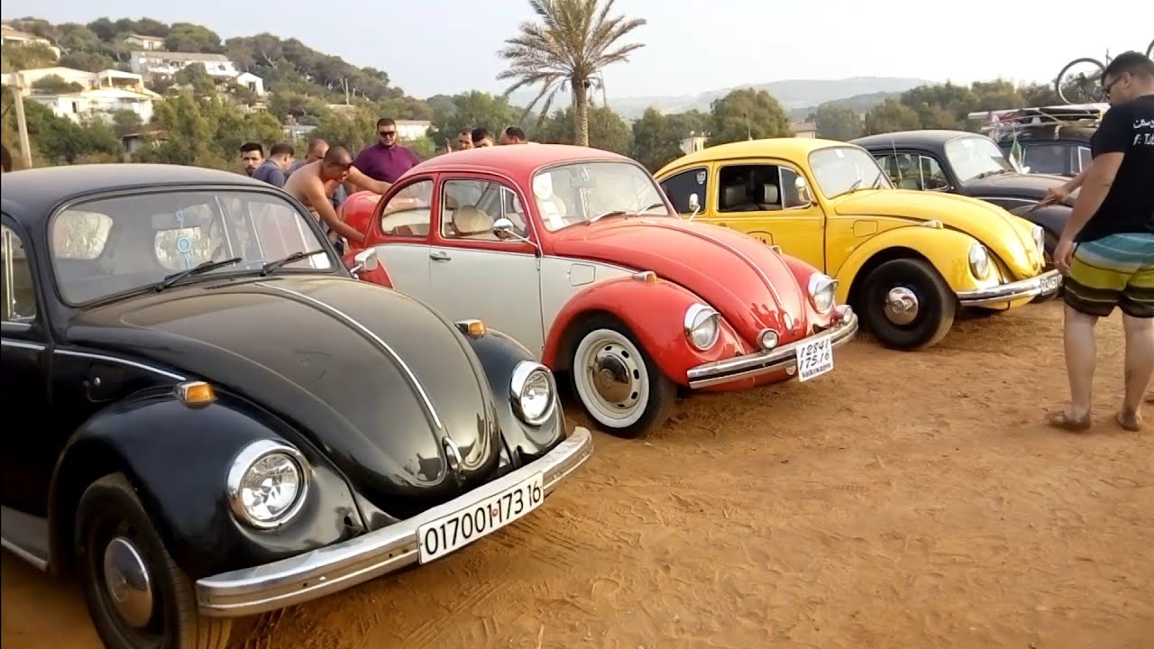 Algeria Volkswagen aircooled 🇩🇿🥰