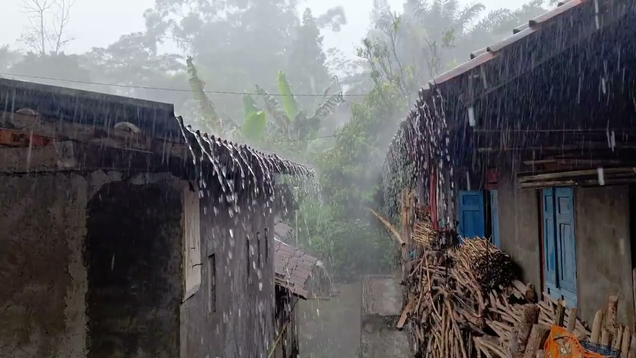 Countryside Rain with Thunder | Calm Storm Ambience