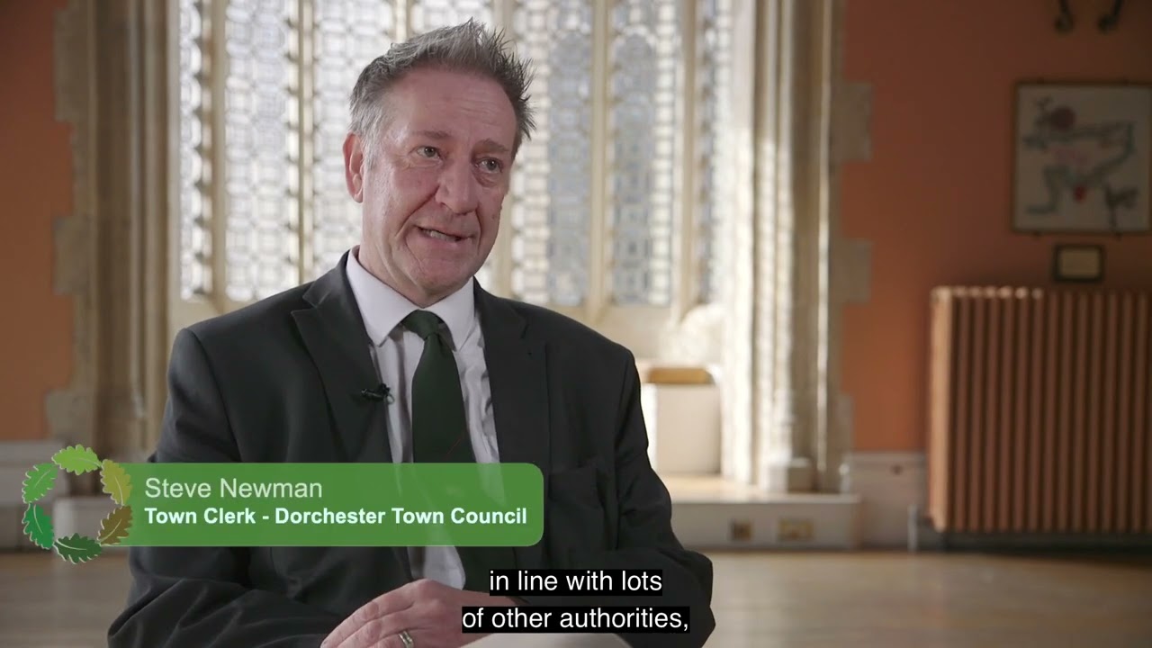 What do parish and town councils do across Dorset