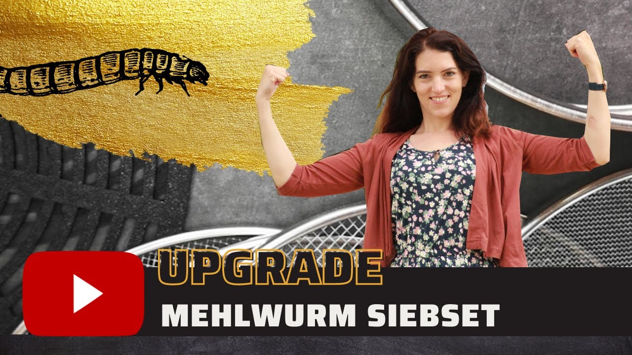*Gold* Upgrade Mehlwurm Siebset