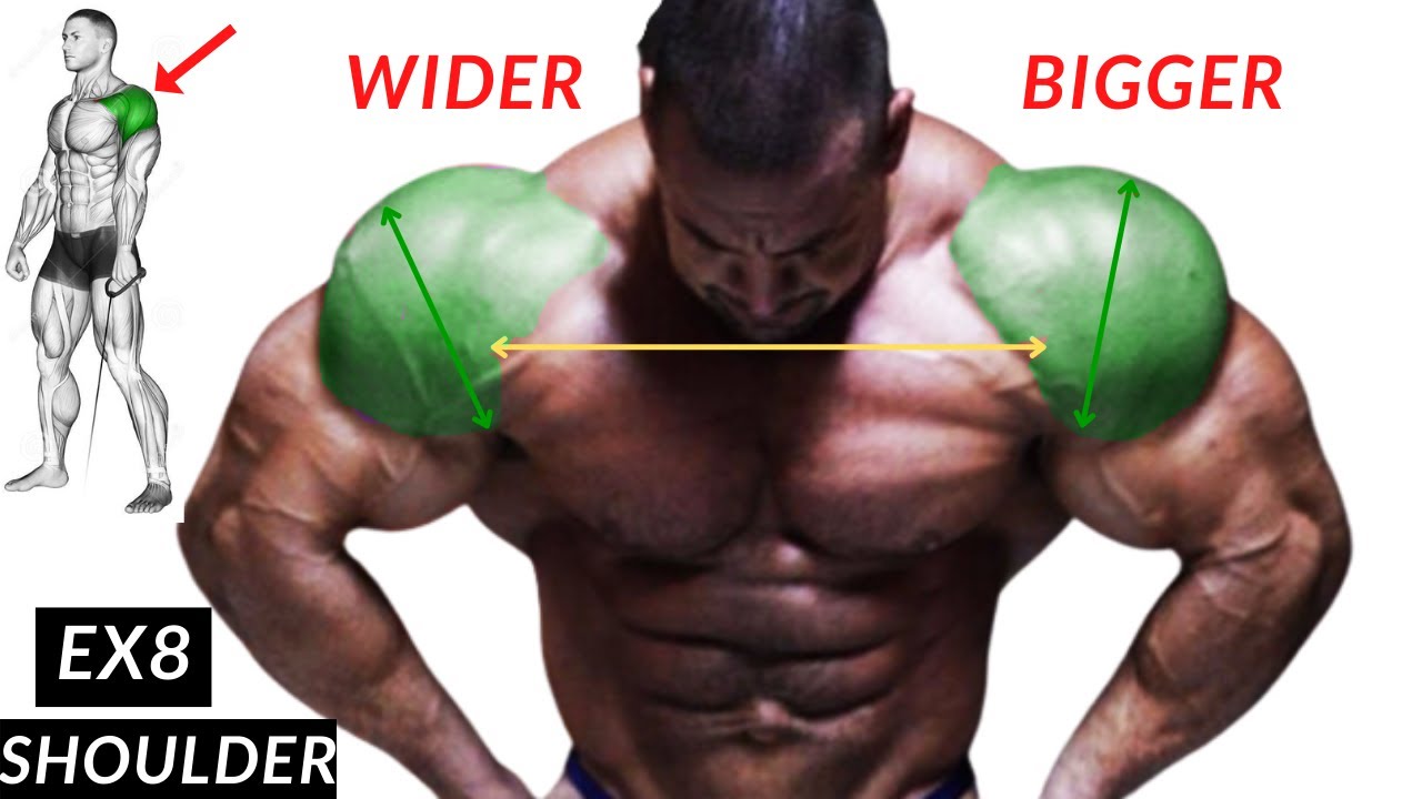 8 quick exercises for shoulder muscle grow
