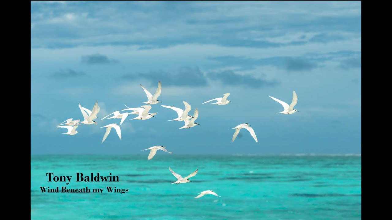 Tony Baldwin - Wind Beneath my Wings (Official Music Video)