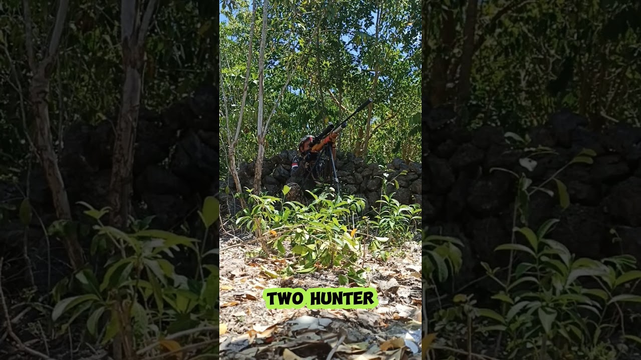 hunting punai#shoot #berburupunaiterbaru #berburu #berburupunai #berburuburungpunai #hunting #punai
