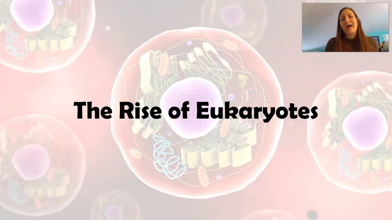 Evolution of Eukaryotes