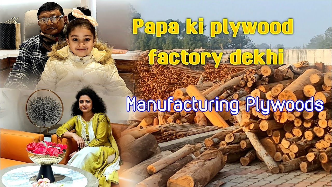 Aaj Papa ki plywood factory visit ki || How plywood is made || Happy Hum ❤