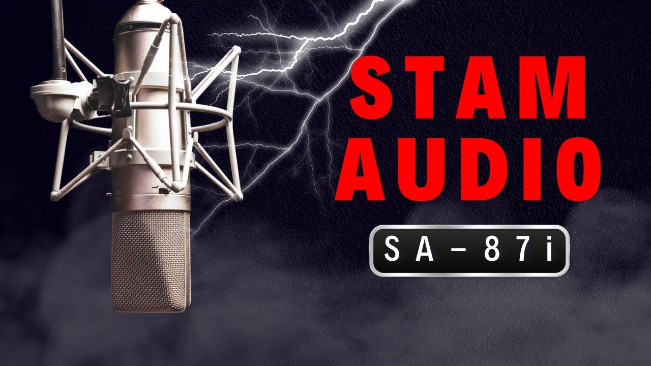 Stam Audio SA-87i Microphone (Vintage Neumann u87i Clone)
