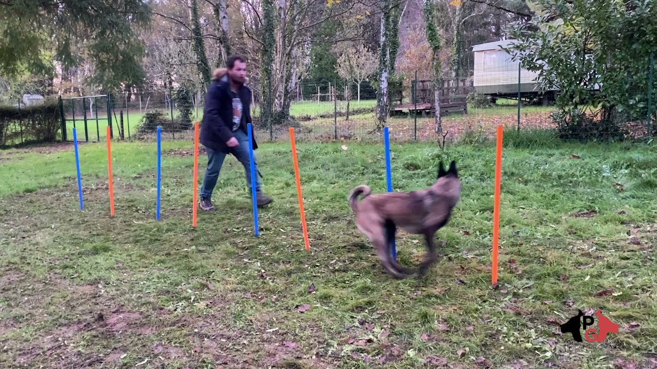 APPRENTISSAGE DU SLALOM Méthode 2x2