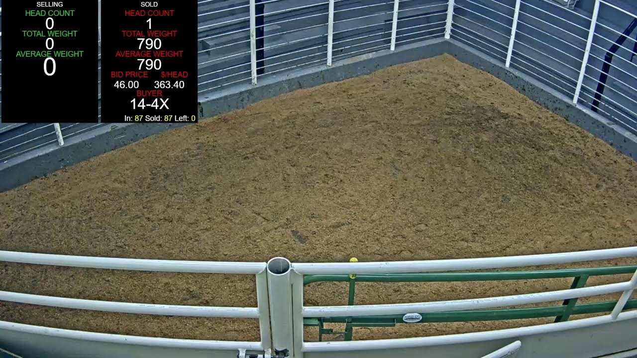 Everson Auction Market Live Stream 2/11/2026