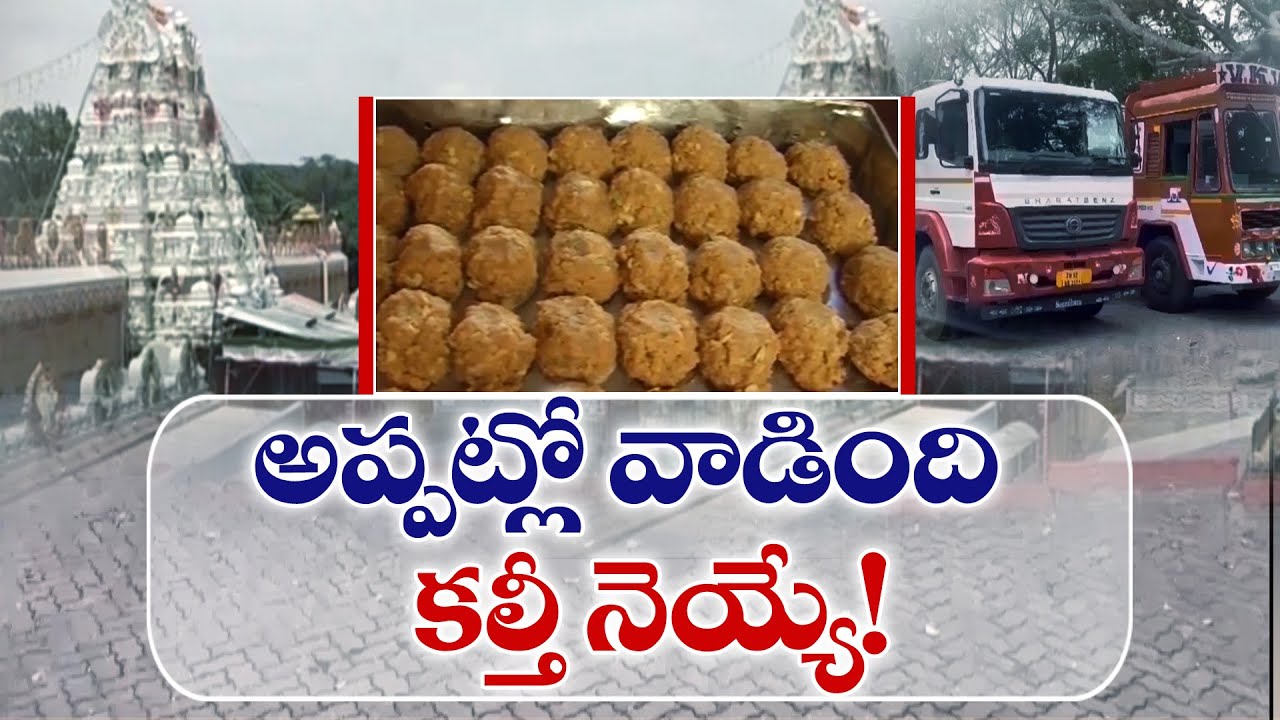 తిరుమలకు సరఫరా అయ్యింది కల్తీ నెయ్యే! | Adulterated Ghee Supplied to Tirumala In YCP Rule | SIT