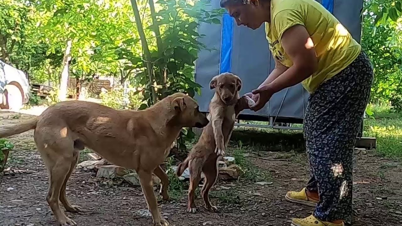 ONLAR BÜYÜMESE ZAMANIN GEÇTİĞİ AKLIMA BİLE GELMEZ