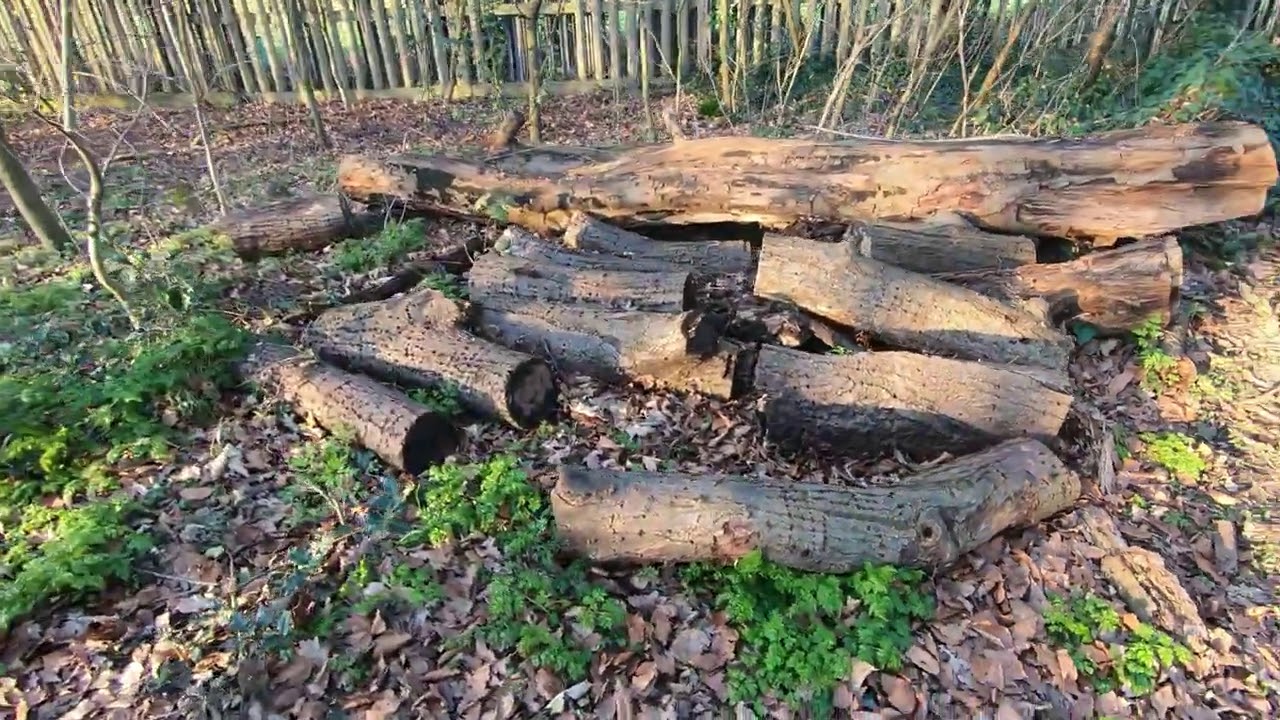 London Wanstead Park