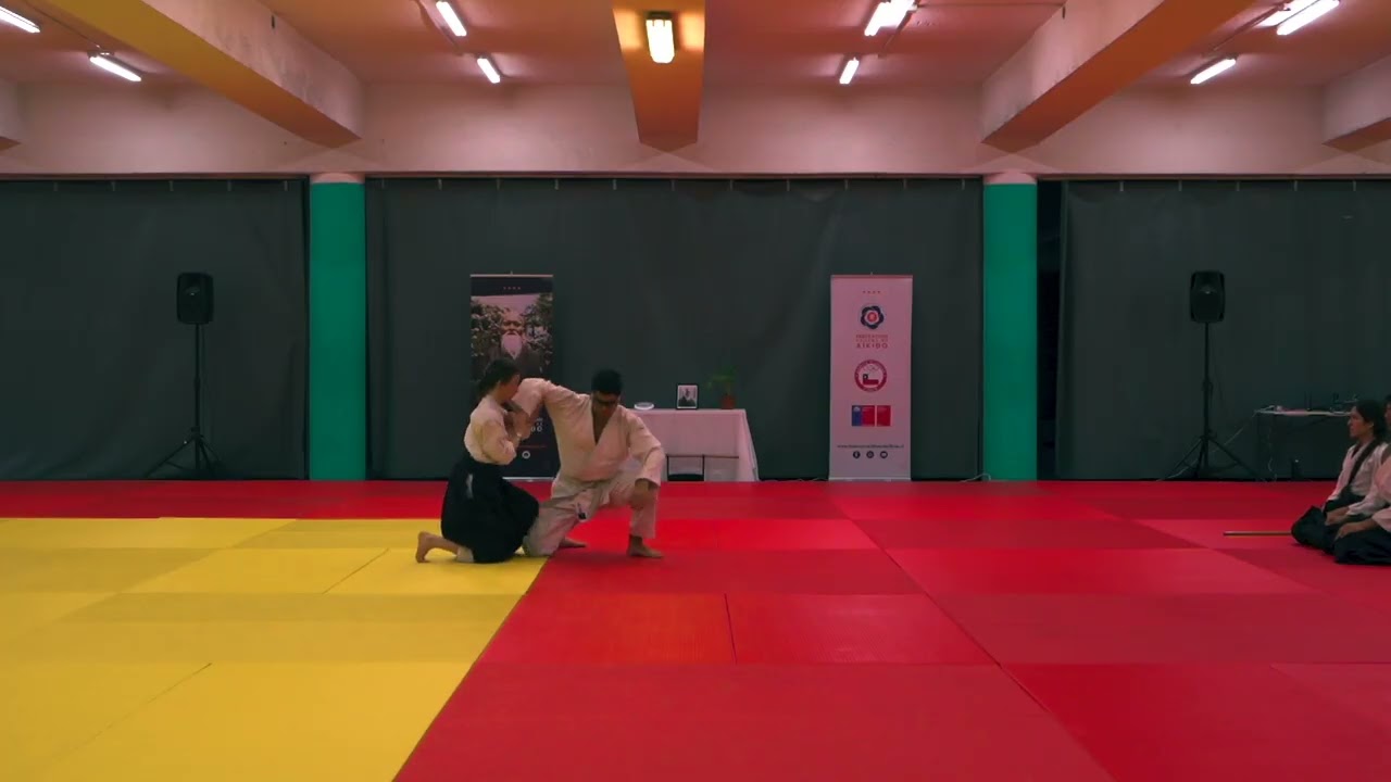 Registro del Encuentro Nacional de Aikido Chile 2025. Embukai Shugyo Dojo.