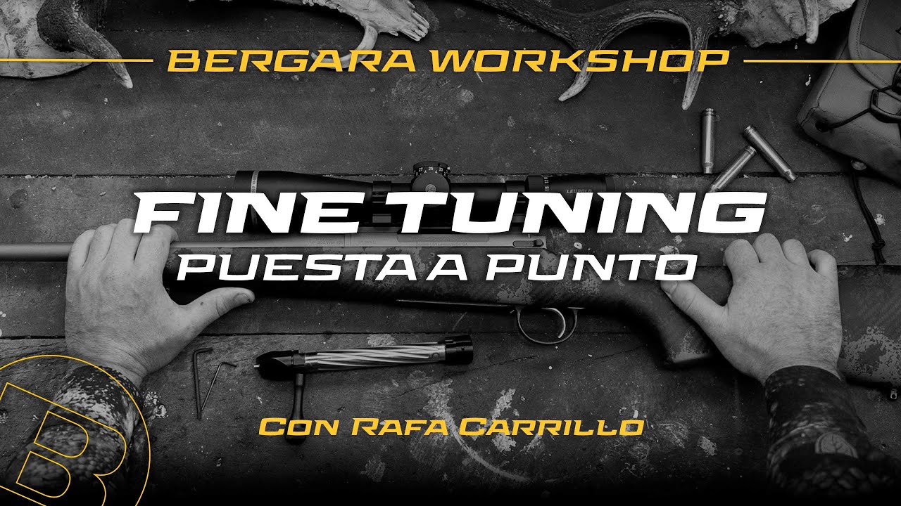 Bergara Workshop - Fine Tuning