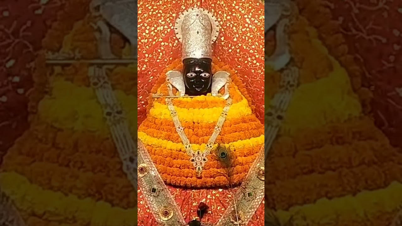 Shyam ji Aarti 21 Feb 26