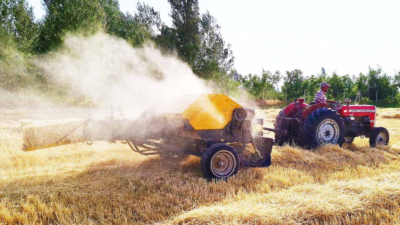Haşbaylı Balya Yapımı! Elibollar Balya Makinesi ile Arpa ve Buğday Balyası