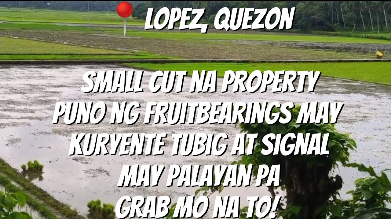 VLOG 163:📍LOPEZ, QUEZON/MAY PALAYAN/MARAMING KAPITBAHAY/1HAS/MAY TUBIG KURYENTE AT SIGNAL/