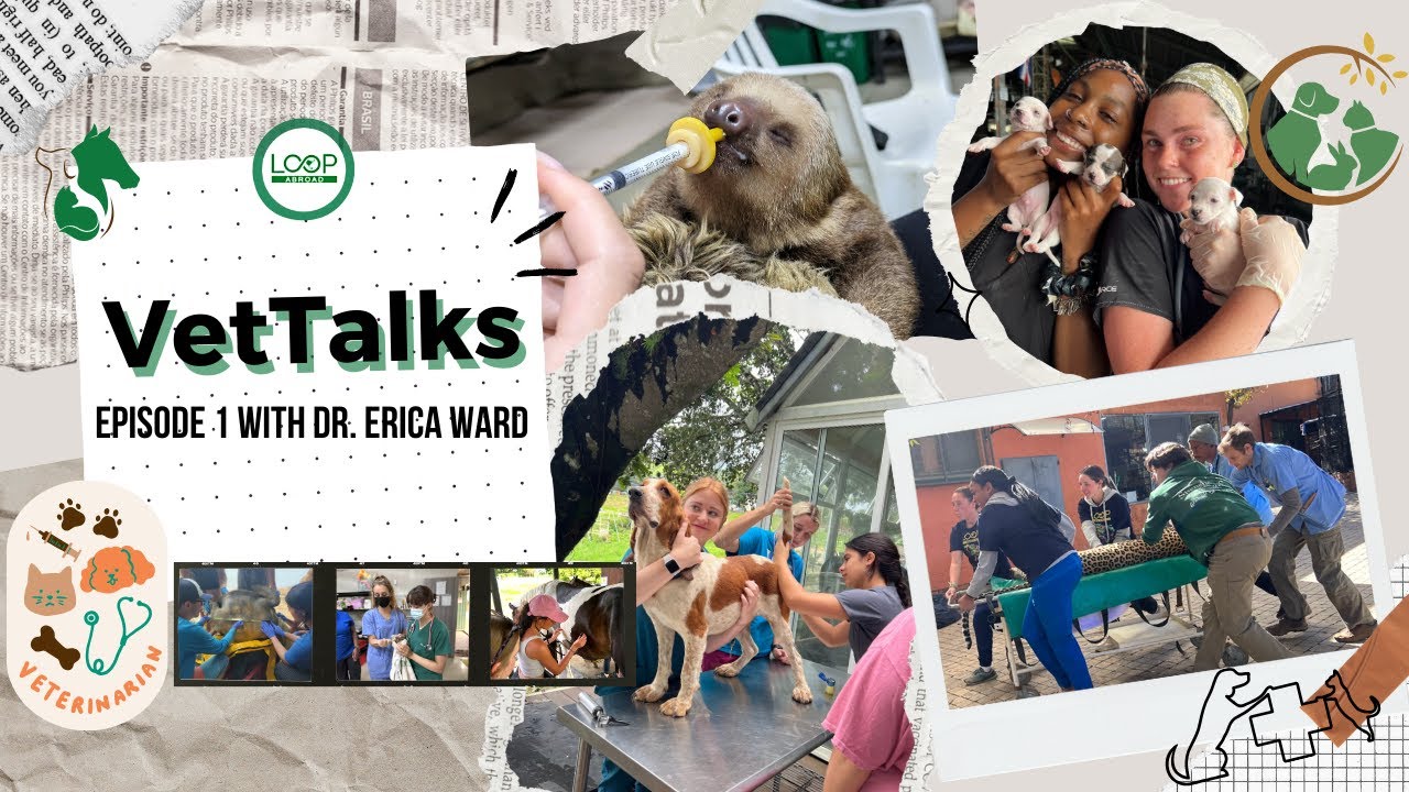 VetTalks: Episode 1 with Dr.Erica Ward