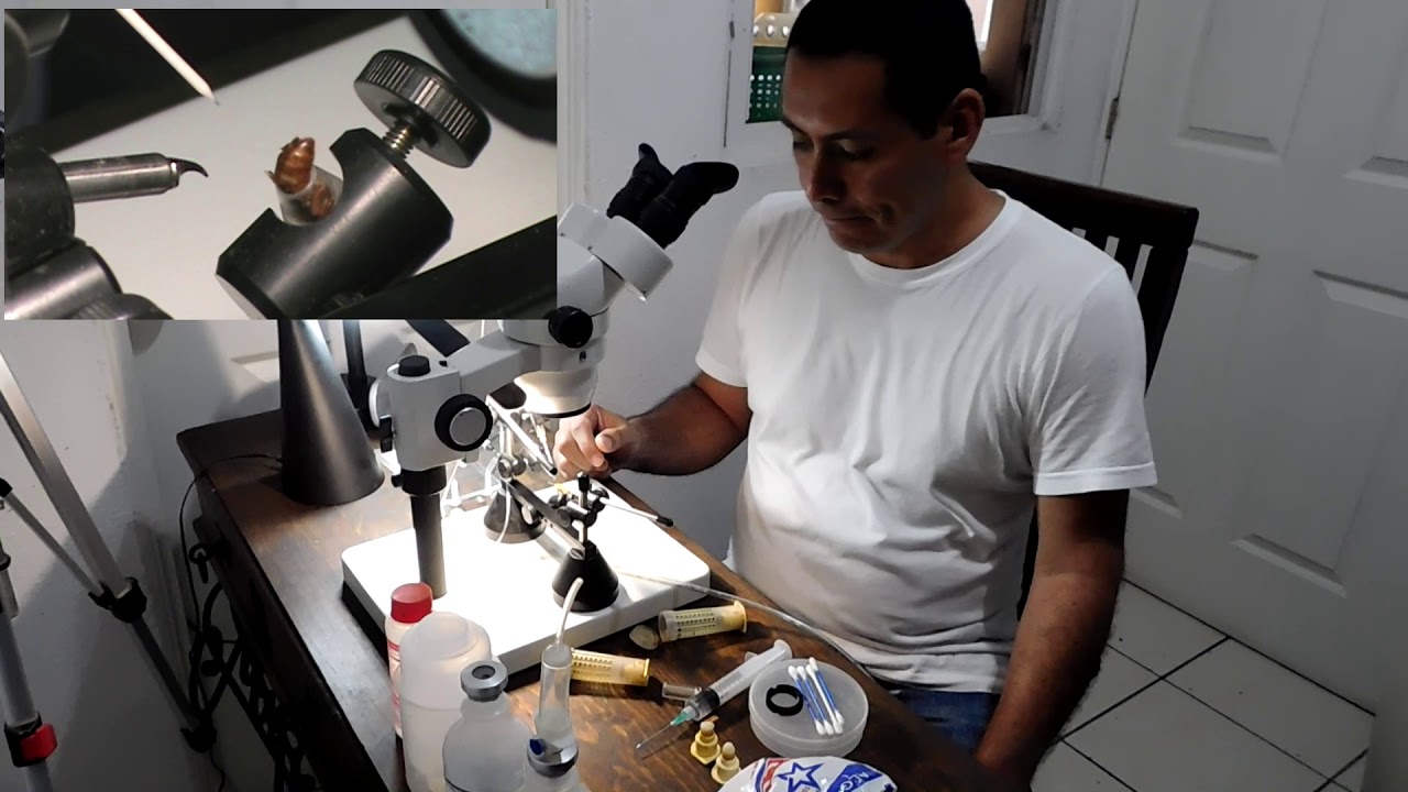 INSEMINACION ARTIFICIAL DE ABEJAS REINAS