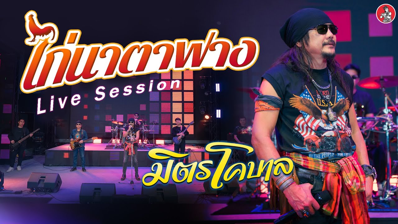 ไก่นาตาฟาง - มิตร โคบาล [Live Session]