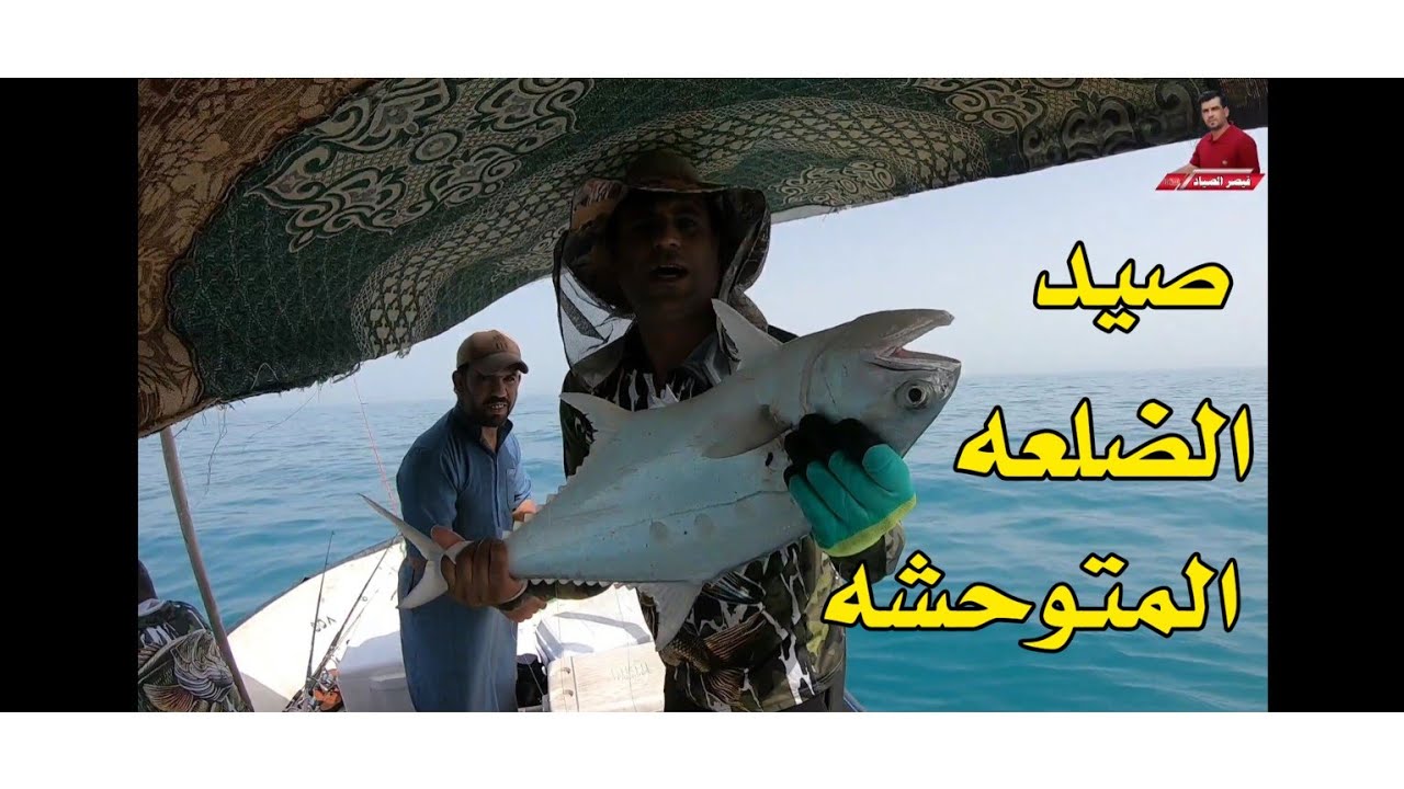 صيد// العندگ// والضلعه// في بحر الخليج#قيصر_الصياد