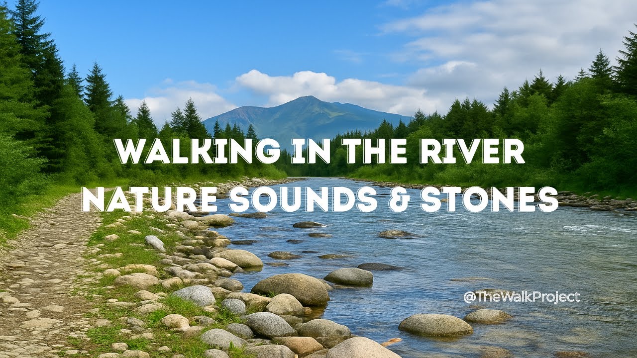 Walking in the River &mdash; Nature Sounds & Stones | Relaxing Forest Stream