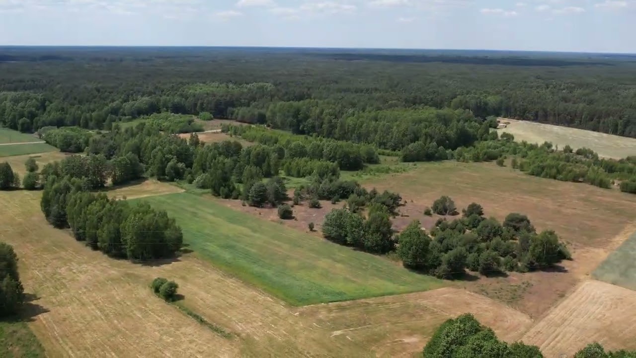 Szamocin, gm. Strachówka