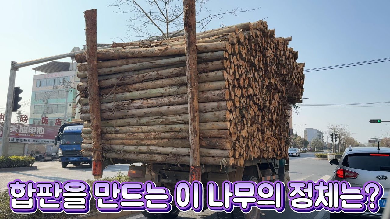 눈과 입이 즐거운 광시여행