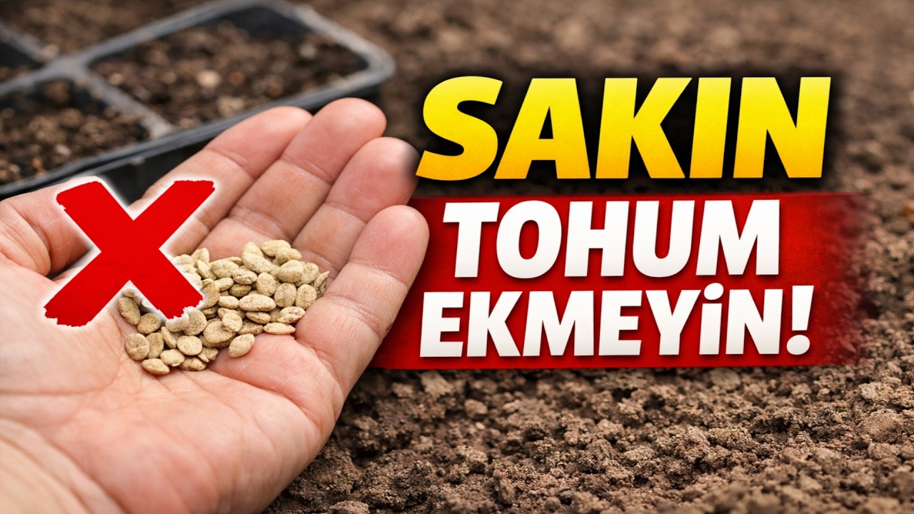 Sakın tohum ekmeyin! Önce bunu mutlaka izleyin. Hastalıklara karşı 12 dahi dezenfekte yöntemi.