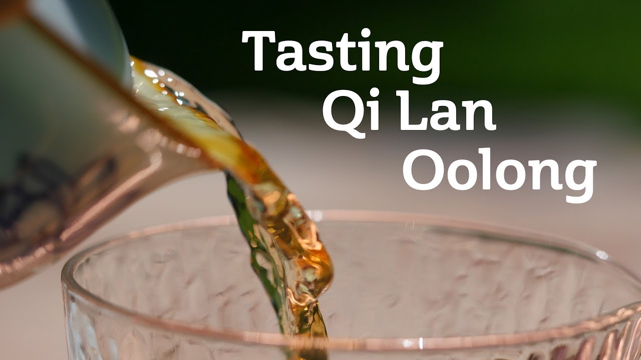 Tasting Qi Lan Oolong
