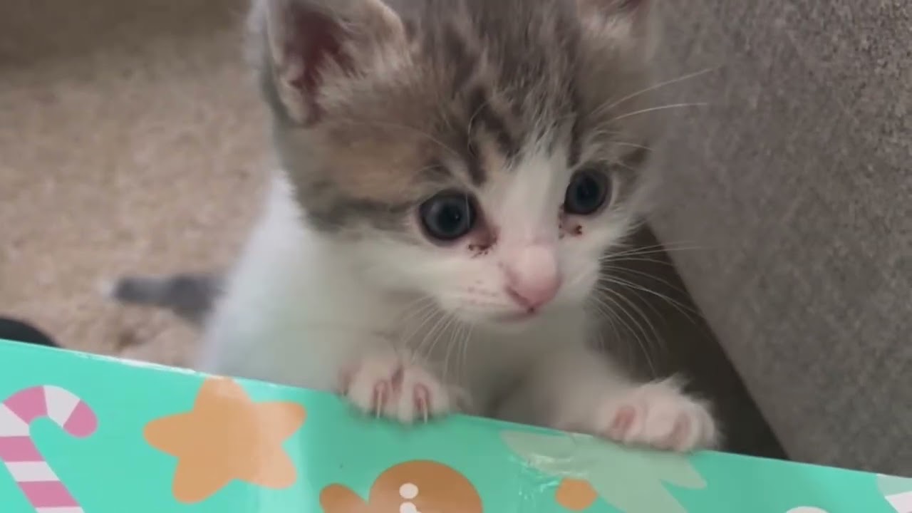 Baby when he is very little 💕