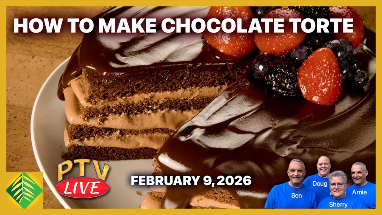 How to Make Chocolate Torte | PTV Live
