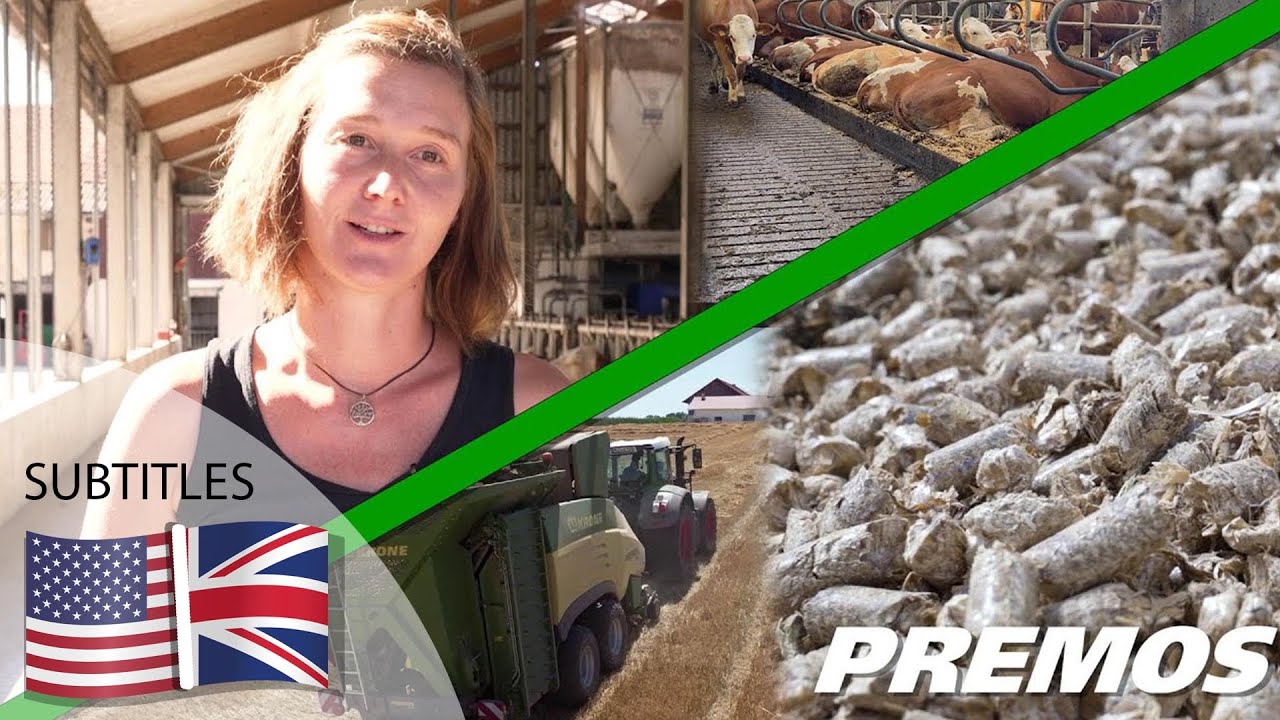 Dairy farm Nitzl –  less work and more comfort thanks to KRONE Premos Pellets