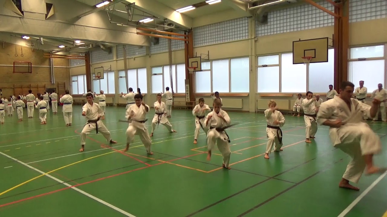 Fantastisk träningsläge med Sensei Mirce Opeloski