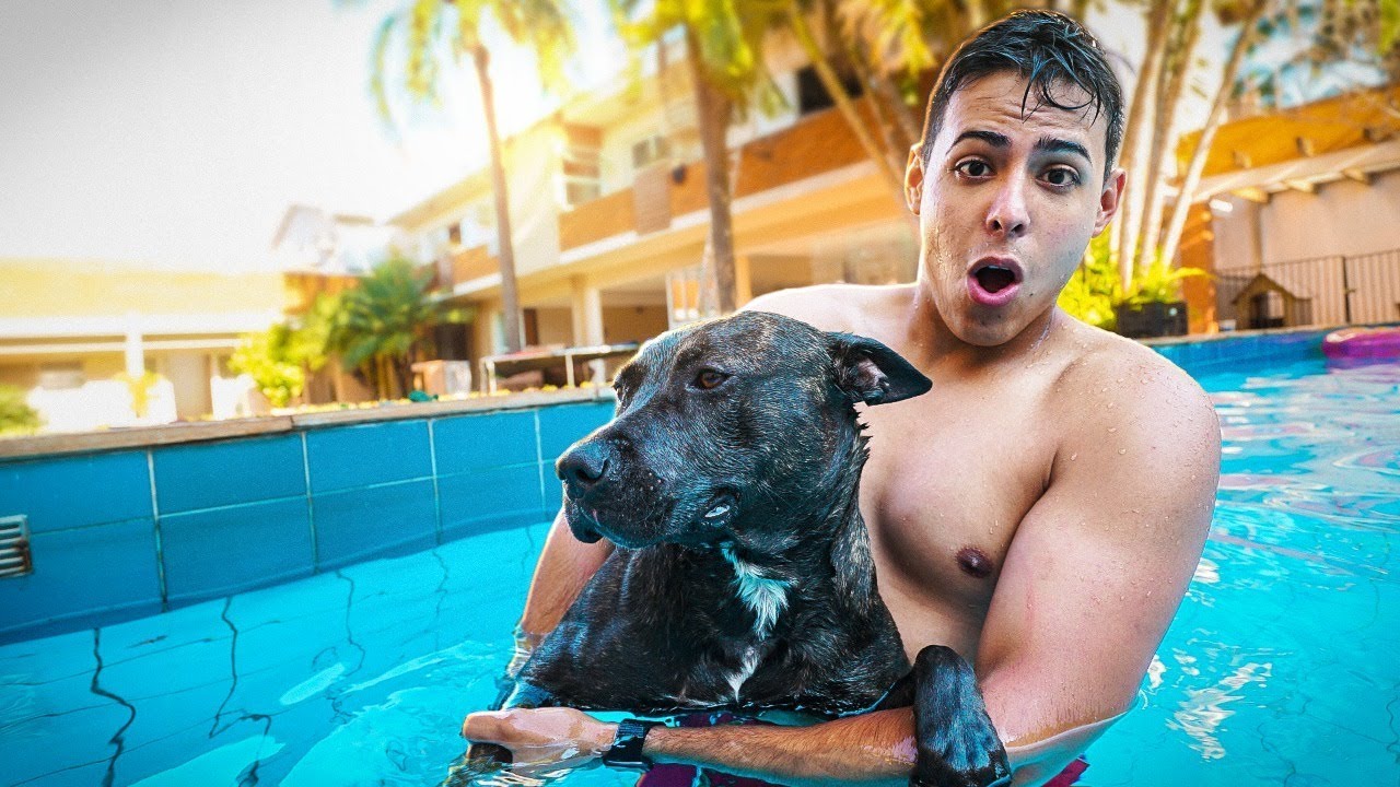 ENTREI COM MEU CACHORRO NA PISCINA