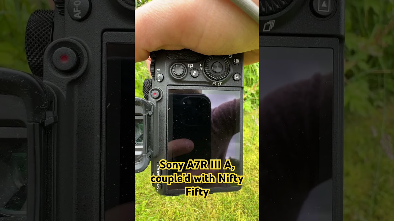 Sony A7R III A with a Nifty fifty 👏🏼 #subscribe #photography #photographytips #nature #cameratips