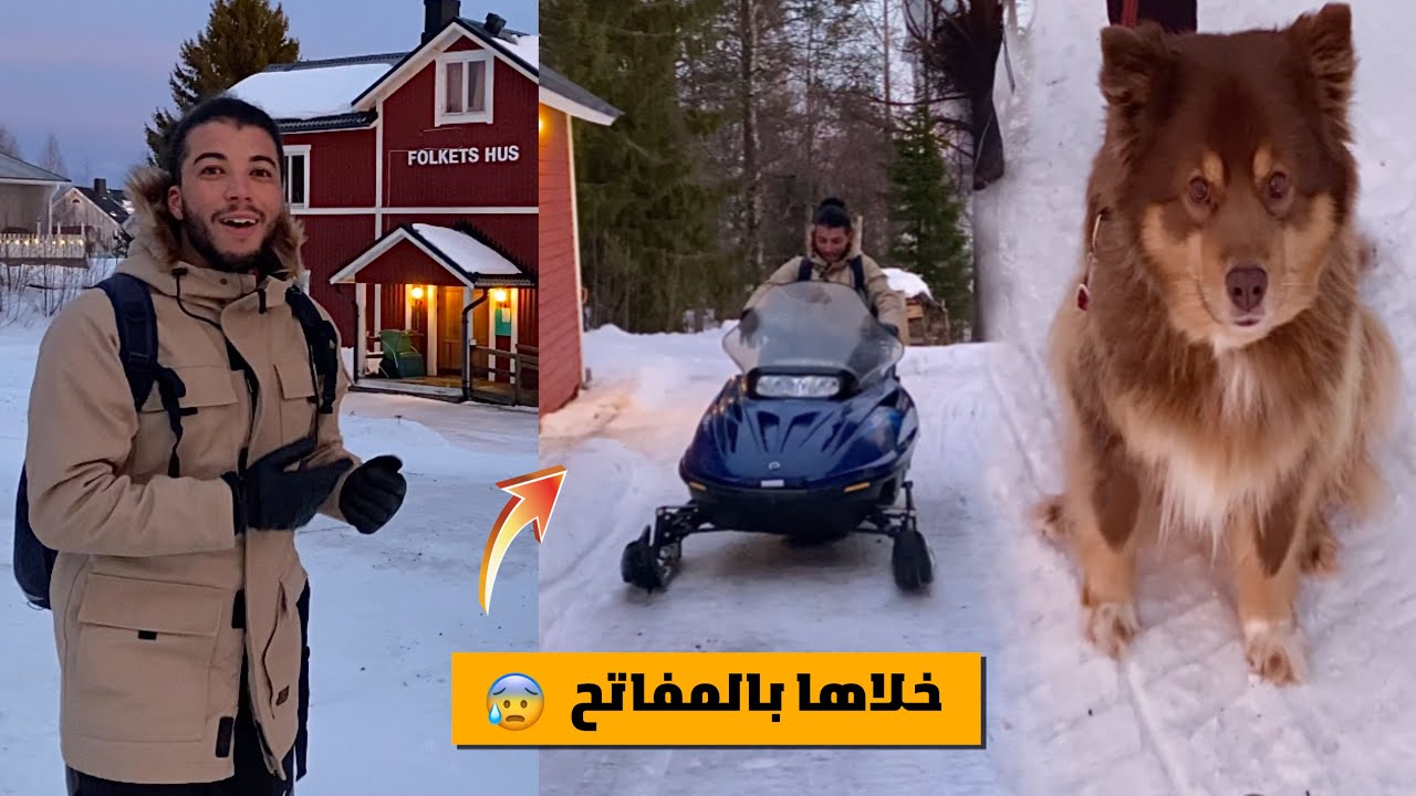 أجواء ريف السويد في فصل الشتاء ❄️ || winter in sweden 🇸🇪