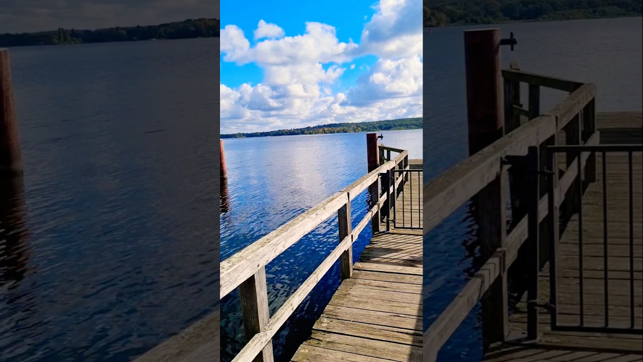 Steg am Schloss Petzow | Schwielowsee | Brandenburg #shorts #nature