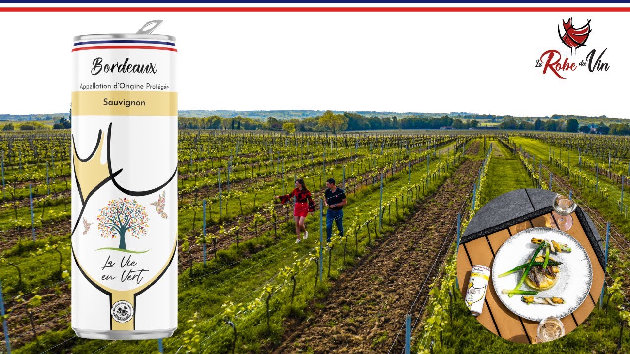 Canette de vin AOP Bordeaux blanc HVE 