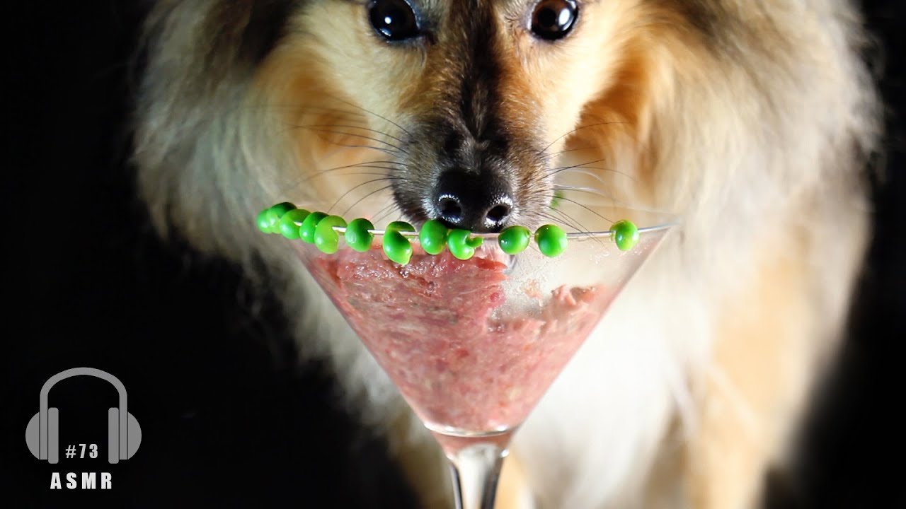 ASMR Dog Eating Sounds Raw food diet #73 먹방 No talking