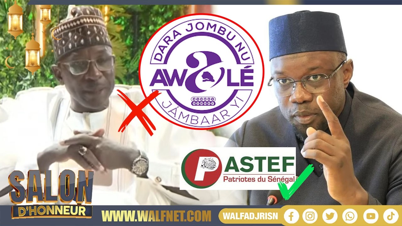 De Awalé Au PASTEF : Samba Tall Sarr Dévoile Enfin Les Raisons De Son Choix 