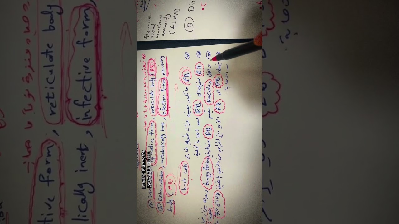 المحاضرة 12 Chlamydia /مادة احياء مجهرية/مختبرات طبية
