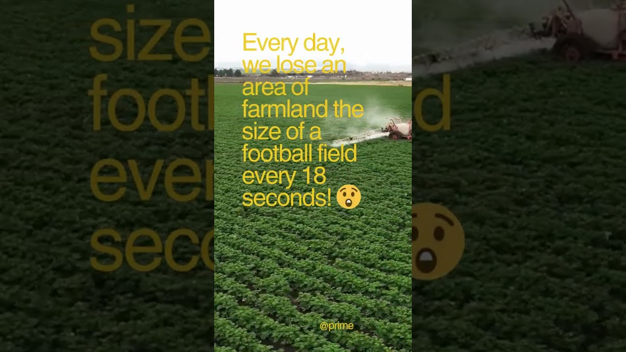 Unlocking Ontario's Agricultural Potential 🌱🏡 | Buy, Sell, Invest in Farms | Ontario, Canada