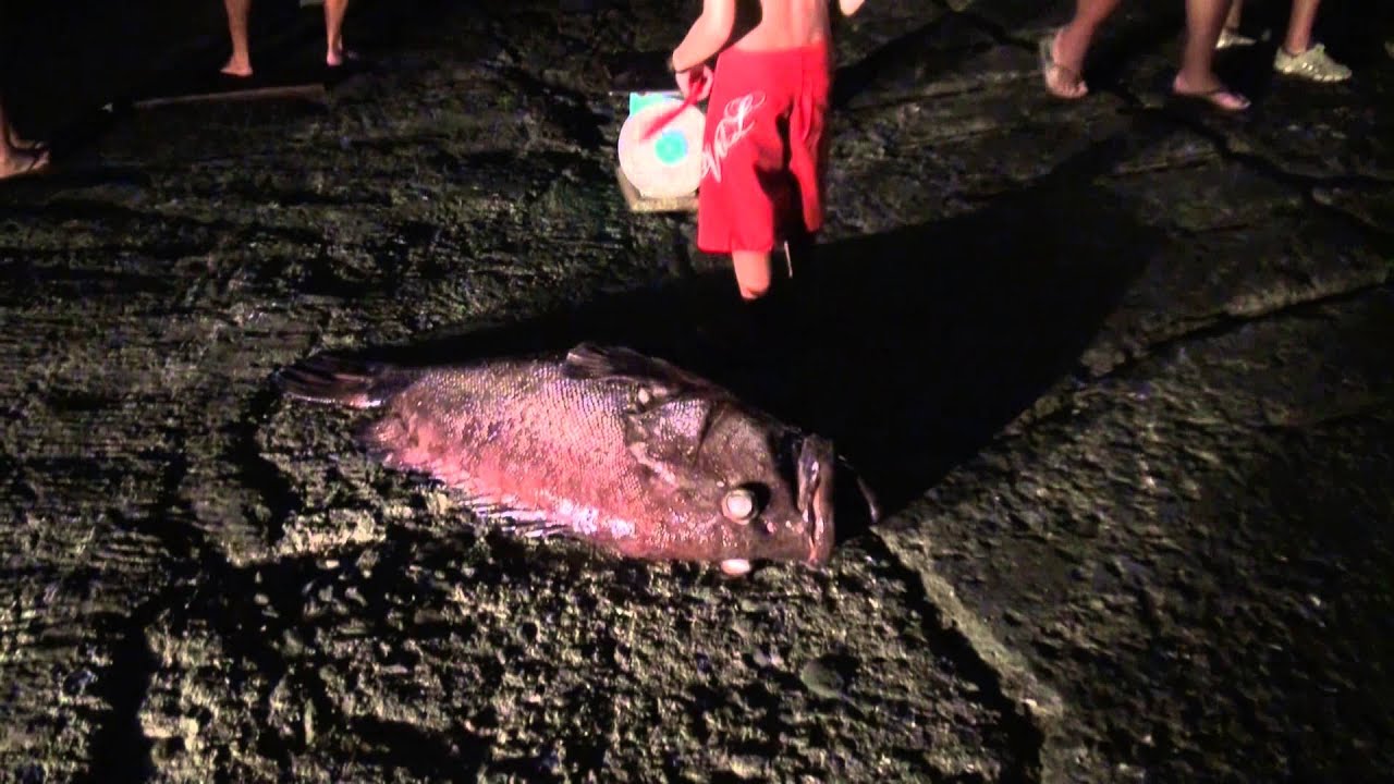 P&ecirc;che Miraculeuse &agrave;  Hakahau