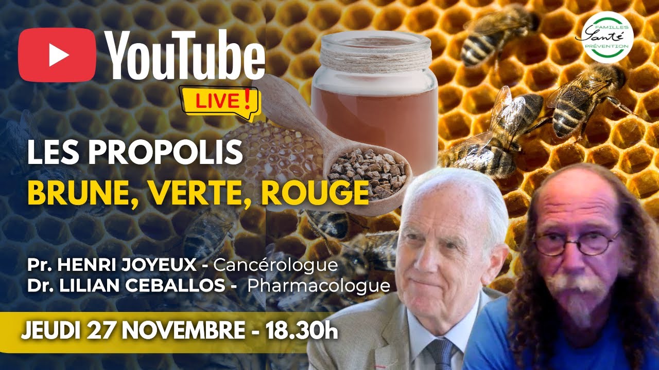 LIVE ! Les Propolis - Brune, Verte, Rouge avec le Dr. Lilian Ceballos #famillessanteprevention