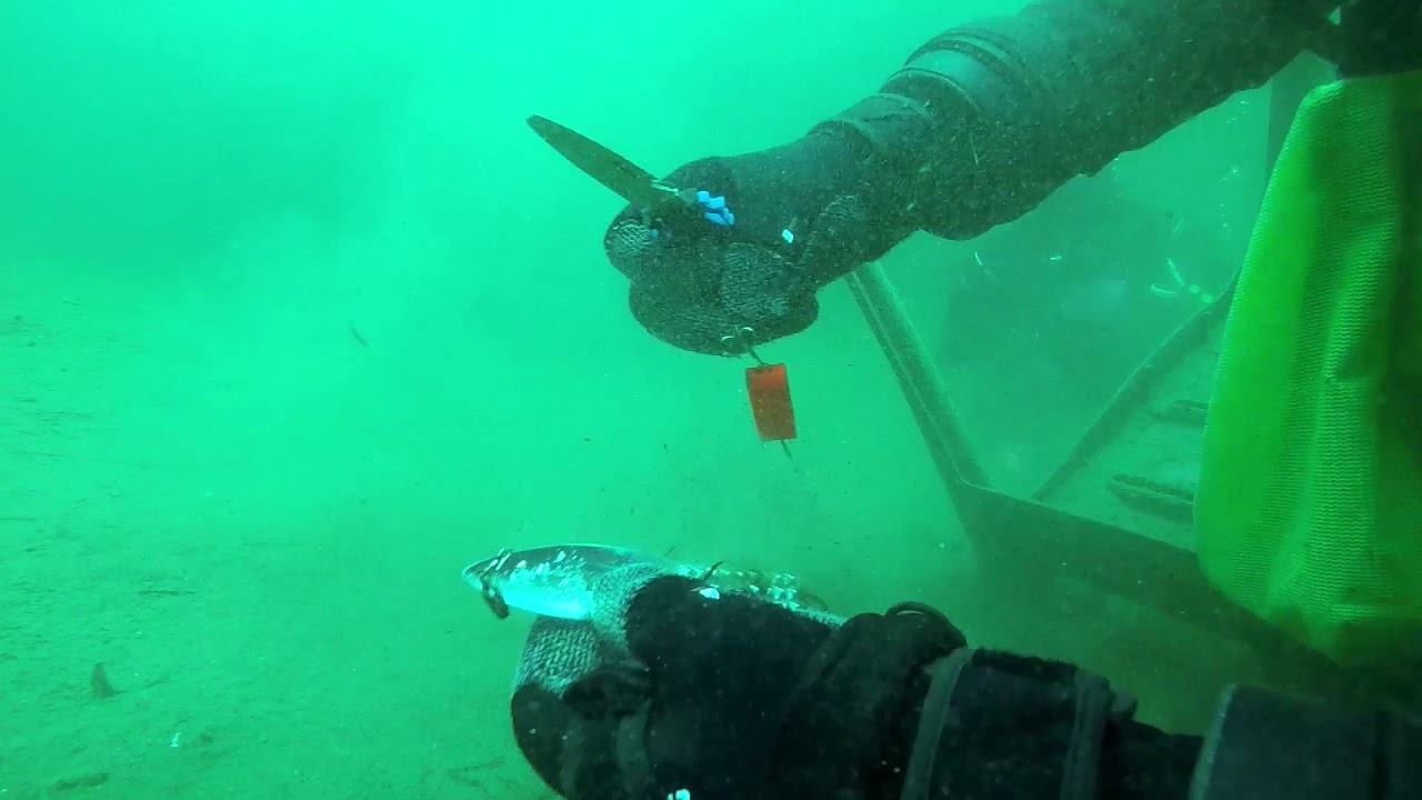 Donner Lake Scuba Diving, Hunting for Treasure and Fun