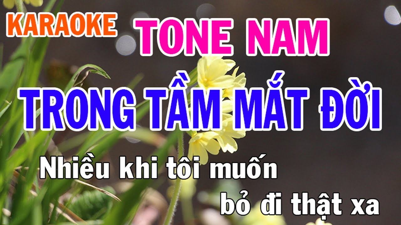 Trong Tầm Mắt Đời Karaoke Tone Nam Nhạc Sống - Phối Mới Dễ Hát - Nhật Nguyễn